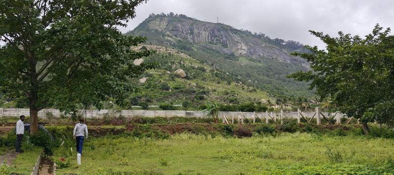  Residential Plot 1450 Sq.ft. for Sale in Gudibanda, ChikBallapur