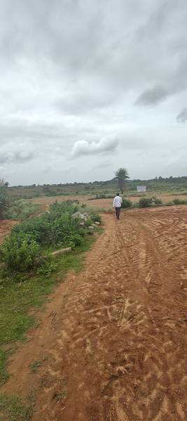 Agricultural Land 6 Acre for Sale in Gudibanda, ChikBallapur