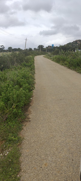  Agricultural Land 6 Acre for Sale in Gudibanda, ChikBallapur