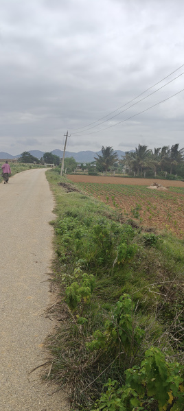  Agricultural Land 6 Acre for Sale in Gudibanda, ChikBallapur