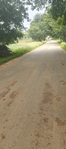  Agricultural Land 5 Acre for Sale in Gudibanda, ChikBallapur