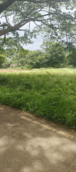  Agricultural Land 5 Acre for Sale in Gudibanda, ChikBallapur