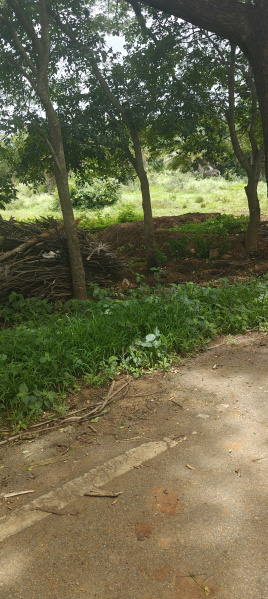  Agricultural Land 5 Acre for Sale in Gudibanda, ChikBallapur
