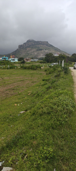  Agricultural Land 1 Acre for Sale in Gudibanda, ChikBallapur