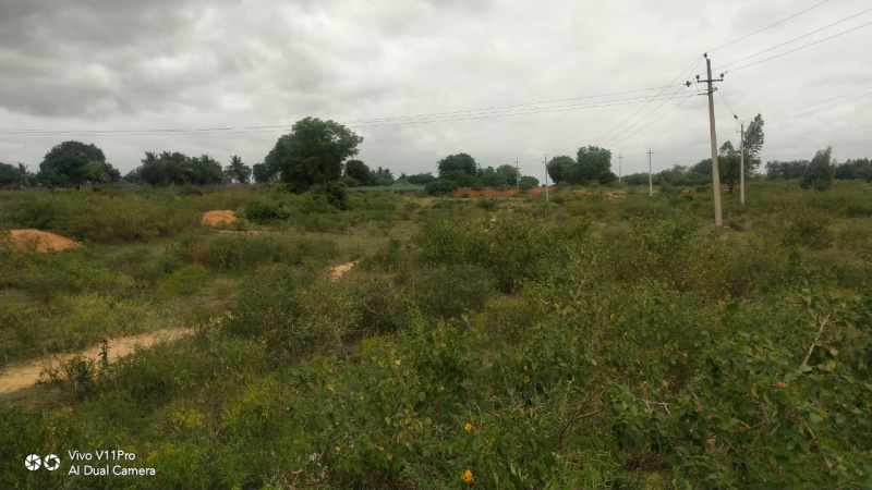 8 Acre Agricultural/Farm Land for Sale in Bagepalli, ChikBallapur