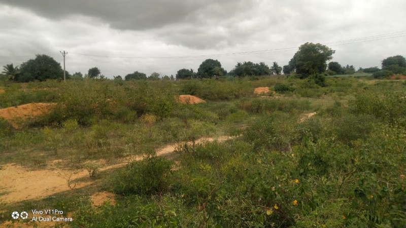  Agricultural Land 3 Acre for Sale in Bagepalli, ChikBallapur