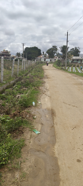  Agricultural Land 1 Acre for Sale in Gudibanda, ChikBallapur