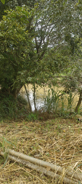  Agricultural Land 18 Acre for Sale in Ponnampet, Kodagu