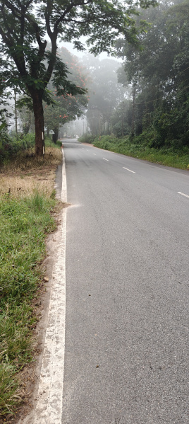 Agricultural Land 50 Cent for Sale in Virajpet, Kodagu