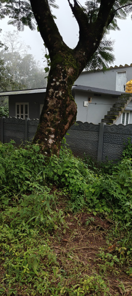  Agricultural Land 50 Cent for Sale in Virajpet, Kodagu