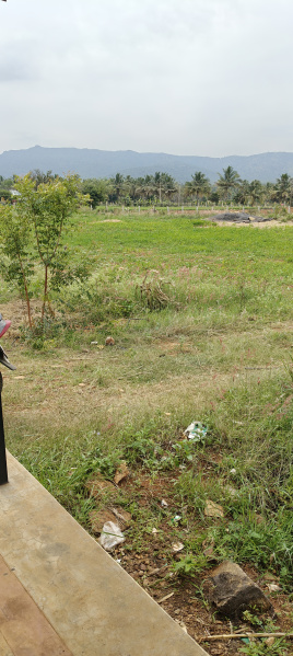  Agricultural Land 6 Acre for Sale in Kollegal, Chamrajnagar