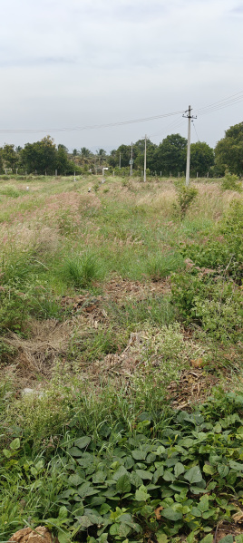  Agricultural Land 6 Acre for Sale in Kollegal, Chamrajnagar