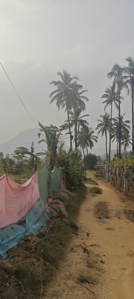  11000 Sq.ft. Agricultural/Farm Land for Sale in Beechaganahalli, ChikBallapur