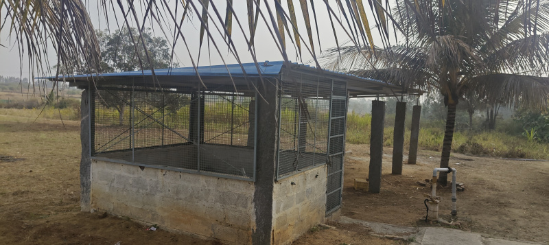  2 Acre Agricultural/Farm Land for Sale in Bangarapet, Kolar