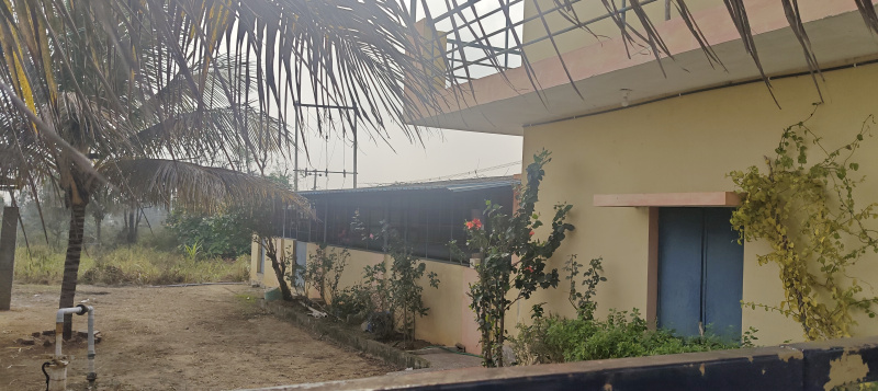  2 Acre Agricultural/Farm Land for Sale in Bangarapet, Kolar