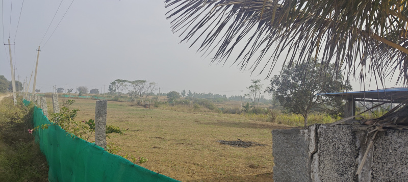  2 Acre Agricultural/Farm Land for Sale in Bangarapet, Kolar