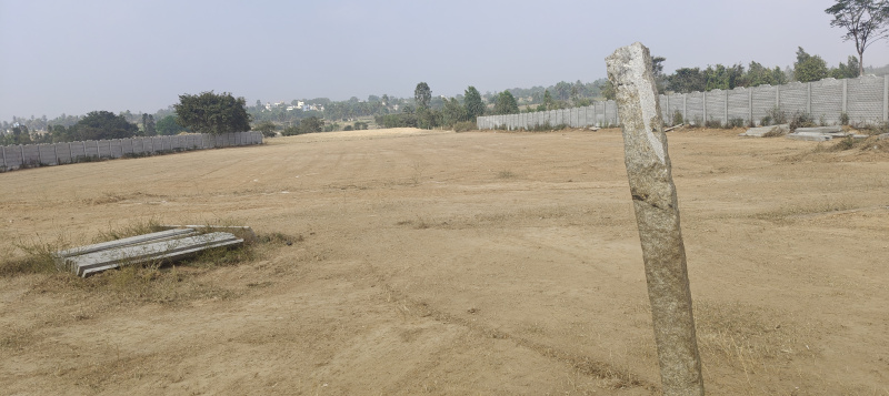  2 Acre Residential Plot for Sale in Bangarapet, Kolar
