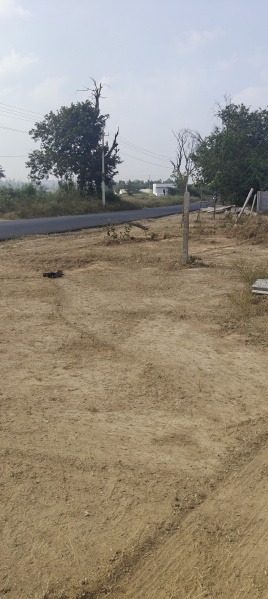  2 Acre Residential Plot for Sale in Bangarapet, Kolar