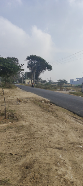  2 Acre Residential Plot for Sale in Bangarapet, Kolar