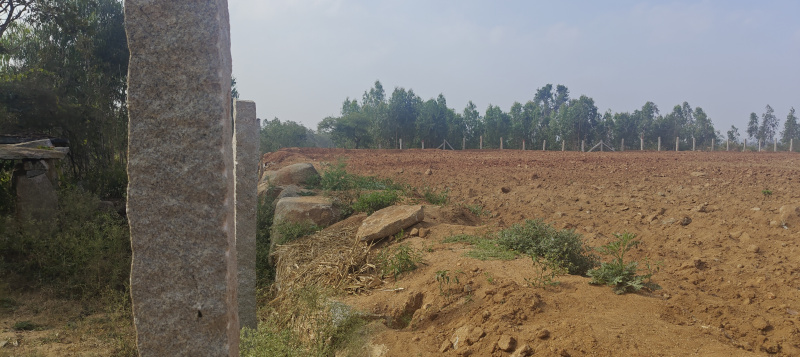  4 Acre Agricultural/Farm Land for Sale in Bangarapet, Kolar
