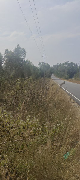  3 Acre Residential Plot for Sale in Bangarapet, Kolar