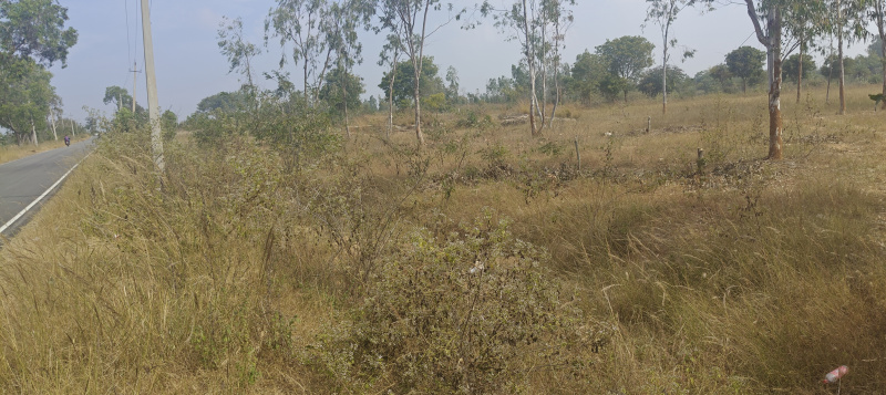  3 Acre Residential Plot for Sale in Bangarapet, Kolar