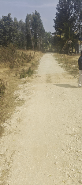  1 Acre Agricultural/Farm Land for Sale in Bangarapet, Kolar