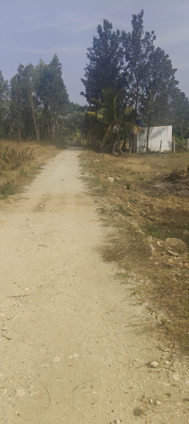  1 Acre Agricultural/Farm Land for Sale in Bangarapet, Kolar