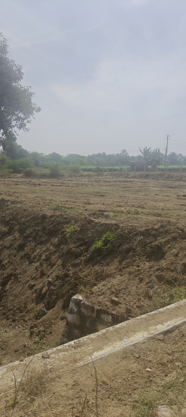  6 Acre Agricultural/Farm Land for Sale in Robertsonpet, Kolar