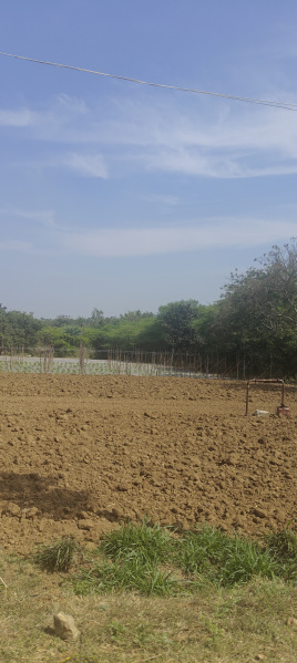  6 Acre Agricultural/Farm Land for Sale in Robertsonpet, Kolar