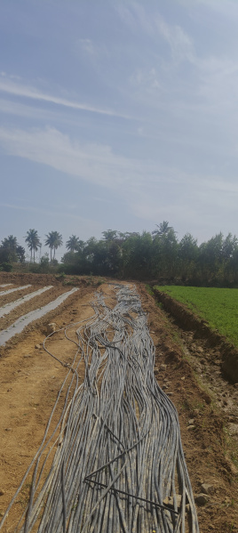  2 Acre Agricultural/Farm Land for Sale in Bangarapet, Kolar