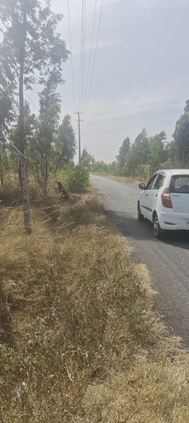  4 Acre Agricultural/Farm Land for Sale in Bangarapet, Kolar