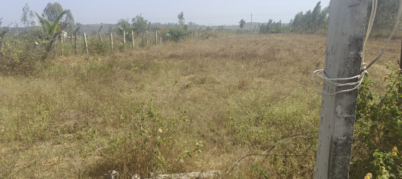  4 Acre Agricultural/Farm Land for Sale in Bangarapet, Kolar