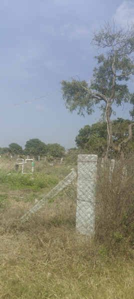  2 Acre Agricultural/Farm Land for Sale in Bethamangala, Kolar