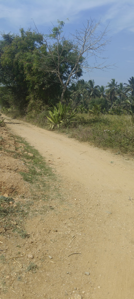  3 Acre Agricultural/Farm Land for Sale in Hunsur Road, Mysore