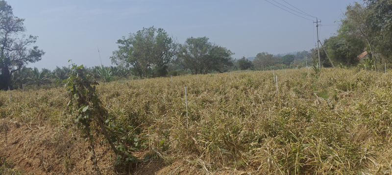 3 Acre Agricultural/Farm Land for Sale in Hunsur Road, Mysore