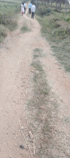  3 Acre Agricultural/Farm Land for Sale in Krishnarajanagar, Mysore