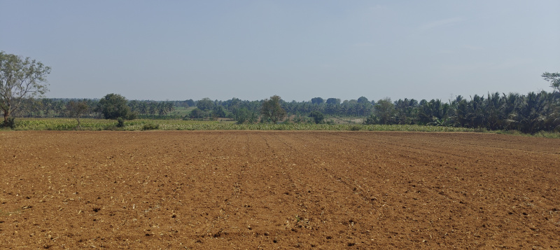  9 Acre Agricultural/Farm Land for Sale in Hunsur Road, Mysore