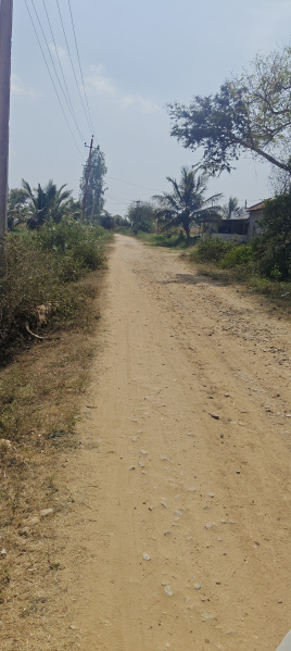  9 Acre Agricultural/Farm Land for Sale in Hunsur Road, Mysore