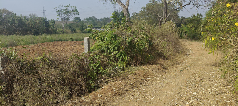  3 Acre Agricultural/Farm Land for Sale in Krishnarajanagar, Mysore