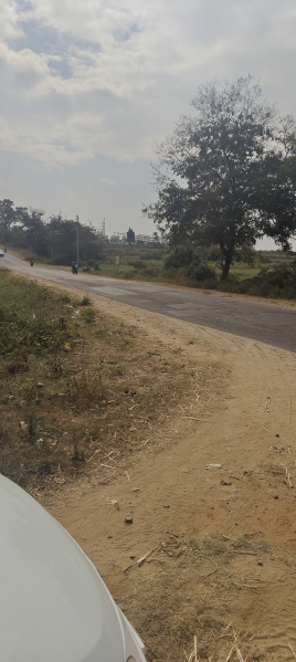  3 Acre Agricultural/Farm Land for Sale in Krishnarajanagar, Mysore