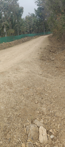  2 Acre Agricultural/Farm Land for Sale in Sathanur, Ramanagara, Bangalore