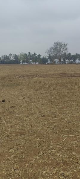  2 Acre Agricultural/Farm Land for Sale in Sathanur, Ramanagara, Bangalore
