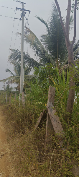  1 Acre Agricultural/Farm Land for Sale in Sathanur, Ramanagara, Bangalore