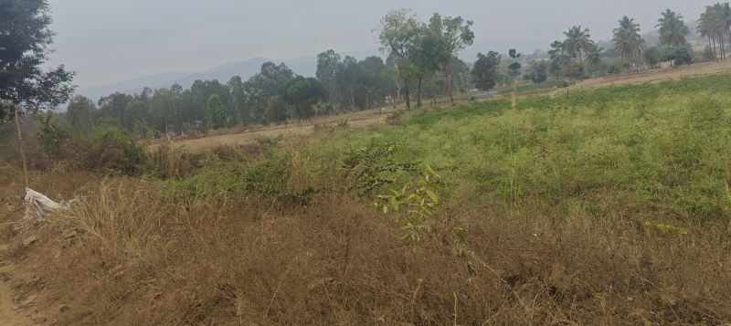  1 Acre Agricultural/Farm Land for Sale in Sathanur, Ramanagara, Bangalore