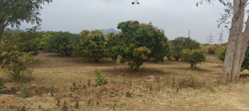  Agricultural Land for Sale in Sathanur, Ramanagara, Bangalore