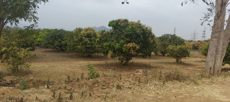  2 Acre Agricultural/Farm Land for Sale in Sathanur, Ramanagara, Bangalore