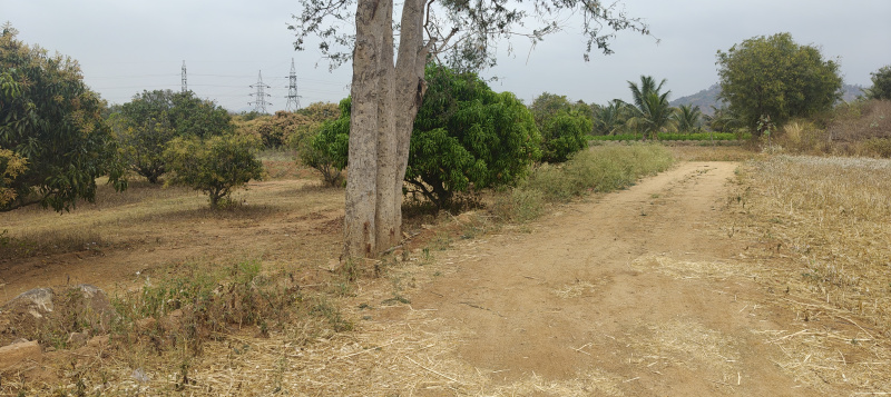  2 Acre Agricultural/Farm Land for Sale in Sathanur, Ramanagara, Bangalore