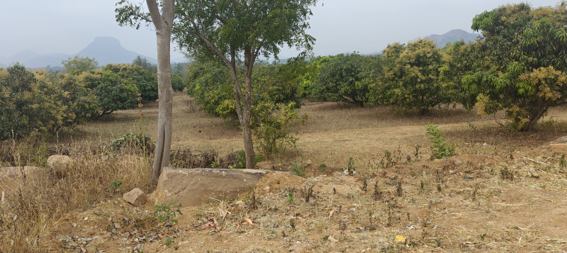  2 Acre Agricultural/Farm Land for Sale in Sathanur, Ramanagara, Bangalore