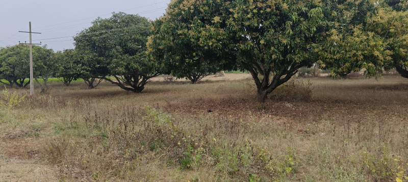  1 Acre Agricultural/Farm Land for Sale in Sathanur, Ramanagara, Bangalore